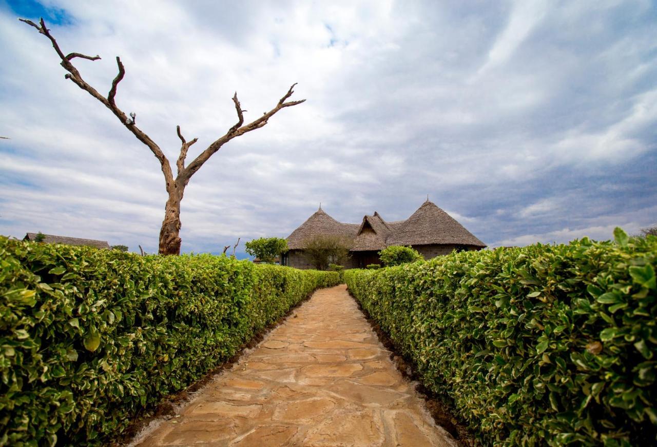 Aa Lodge Amboseli Eksteriør billede