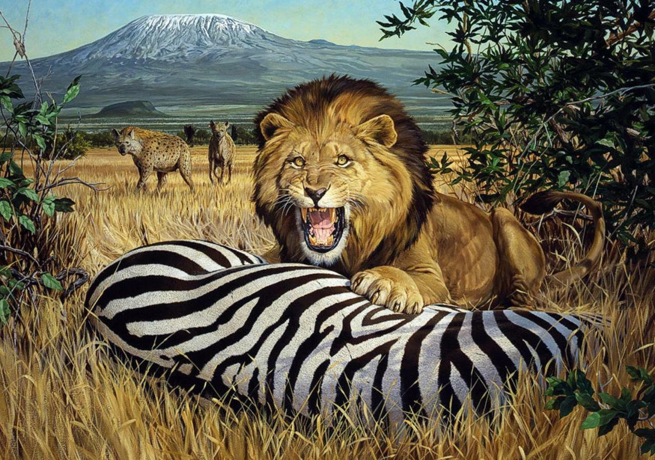 Aa Lodge Amboseli Eksteriør billede
