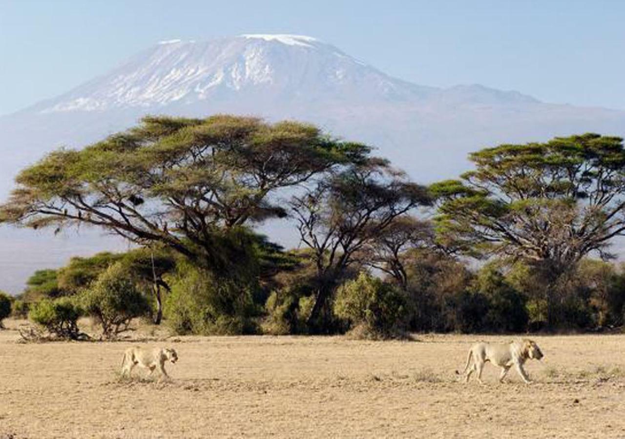 Aa Lodge Amboseli Eksteriør billede