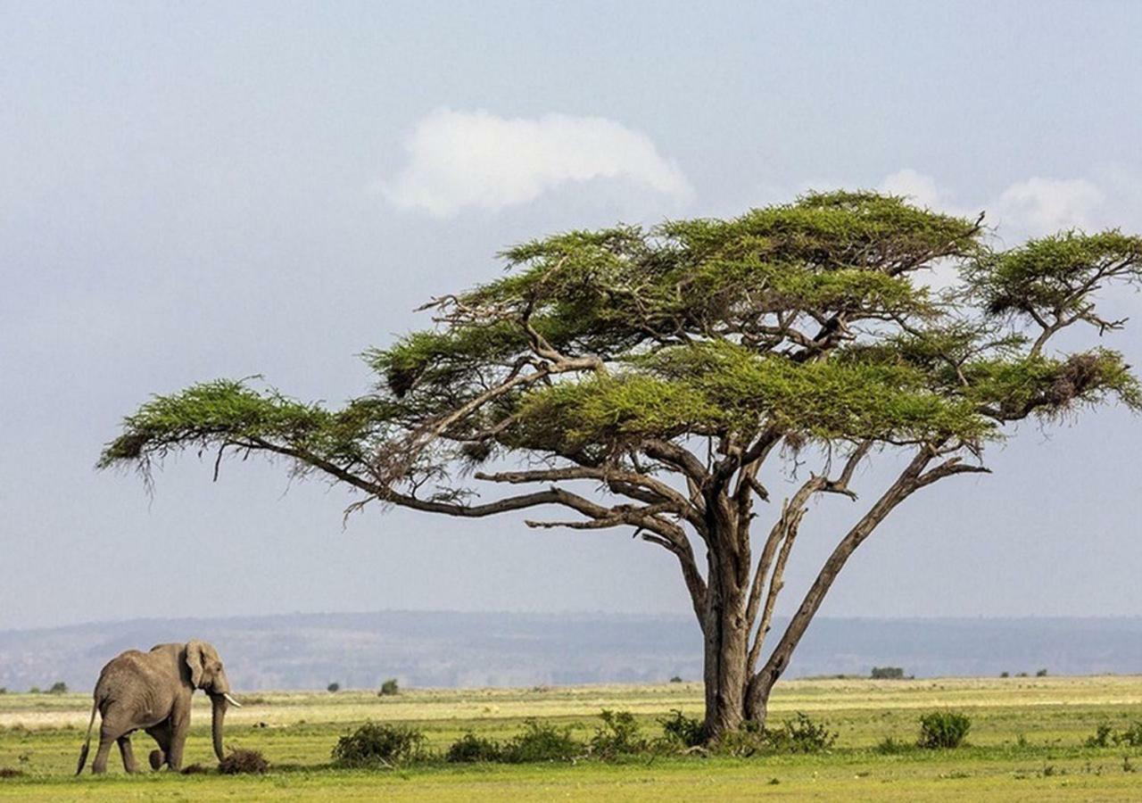 Aa Lodge Amboseli Eksteriør billede